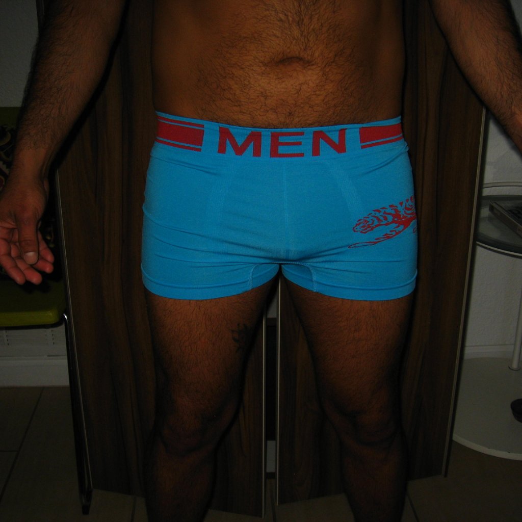 Sexy Men Tiger Briefs L/Xl